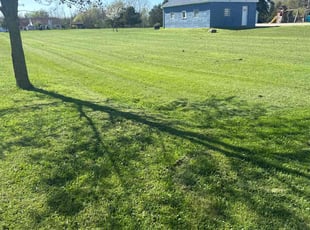 Mr. N.'s Lawn Mowing service result