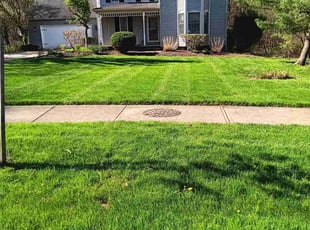Thomas B.'s Lawn Mowing service result