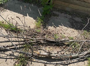 Cleanups by Ryan Mackling for Nicky B. in Lincoln, NE