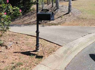 Bush Trimming by Shane Carter for Michael G. in Cumming, GA