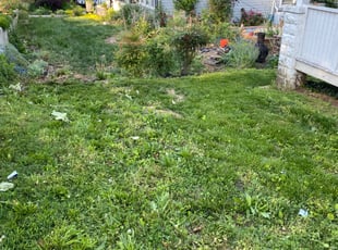 Bush Trimming by Caree Keith for Tammy K. in Capitol Heights, MD