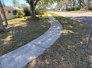 Cleanups by Bradley Wightman for Ed P. in Port Orange, FL