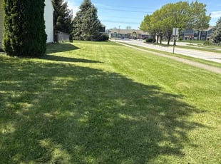 Brenda H.'s Lawn Service service result
