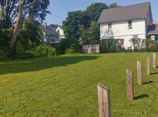 Irene P.'s Lawn Mowing service result