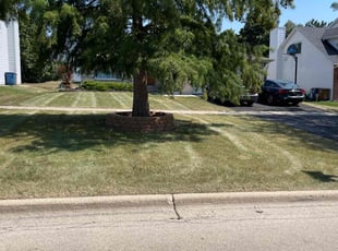 Wuandale G.'s Lawn Service service result
