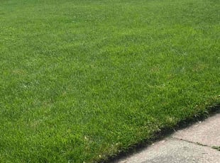 Gayle S.'s Lawn Service service result