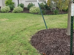 Weeding by Jeffrey Brown for Poonam M. in Colleyville, TX