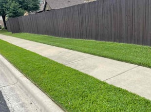 Khaori B.'s Grass Cutting service result