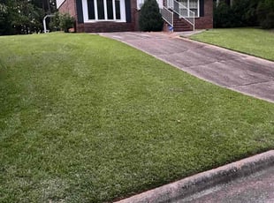 Ricky W.'s Lawn Mowing service result