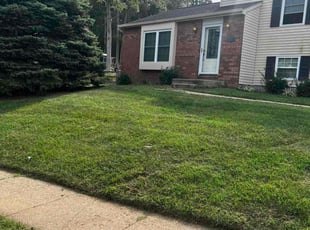 Dan T.'s Lawn Mowing service result
