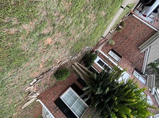 Bush Trimming by jaden powers for Rodney E. in Charlotte, NC