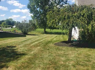 Kim H.'s Lawn Mowing service result