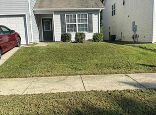 Rickel B.'s Lawn Care service result