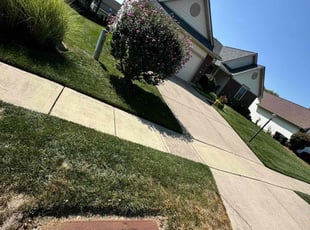 Mike E.'s Lawn Service service result