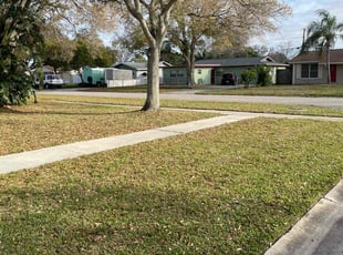Thomas B.'s Lawn Mowing service result