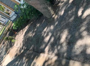 Leaf Removal by Randy Beasley for DEEDRA G. in Lakeland, FL