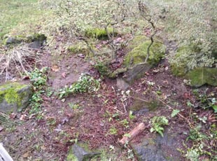 Cleanups by Dana Knickerbocker for Mark P. in Seattle, WA