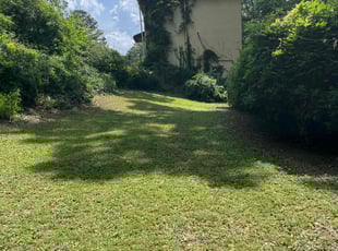 Bush Trimming by Nathaniel Stanley for John P. in Atlanta, GA