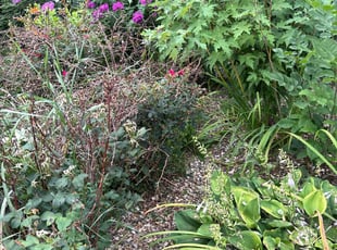 Joanne M.'s Flower Bed Weeding service result