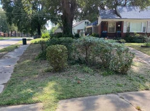 Bush Trimming by Gregory Hearn for Teresa U. in Memphis, TN