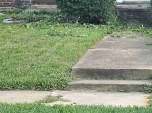 Bush Trimming by Dante Richardson for Ibraheem E. in Baltimore, MD