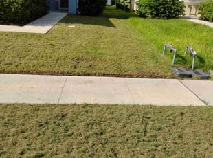 Mr. M.'s Lawn Mowing service result