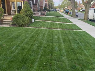 Jennifer H.'s Grass Cutting service result