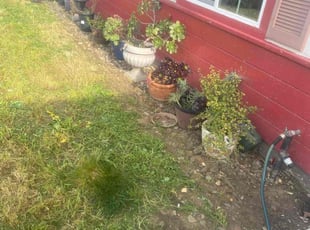Weeding by Michael Leftridge for Maria R. in American Canyon, CA