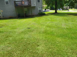 Sinclair G.'s Grass Cutting service result