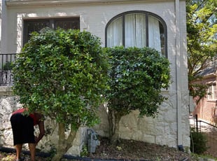 Bush Trimming by Chuck Vogt for Todd B. in Atlanta, GA