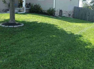 Jan A.'s Lawn Mowing Service service result