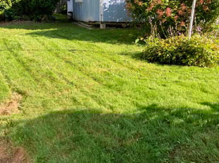 Lisa W.'s Lawn Service service result
