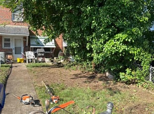 Cleanups by Rachel Lewis for David F. in Baltimore, MD