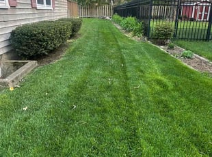Shanika W.'s Lawn Service service result
