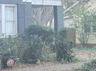 Bush Trimming by Gabriel Gray for John W. in Monroe, NC