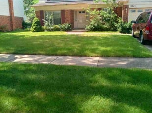 Miya S.'s Lawn Mowing Service service result