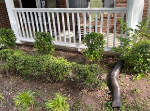 Bush Trimming by L Moore for Kenneth B. in Raleigh, NC