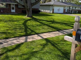 Mark P.'s Lawn Care service result