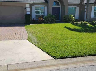 Walter N.'s Lawn Mowing service result