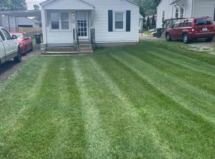 Michael S.'s Lawn Care service result