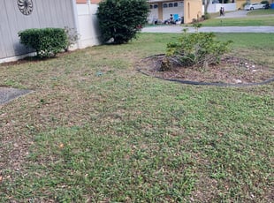 Bush Trimming by Ernest Gomez for Agnes S. in Tampa, FL