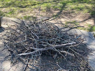 Cleanups by Maurice Pride for Dallas H. in North Little Rock, AR
