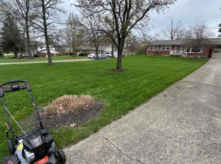 Andrew M.'s Lawn Mowing service result