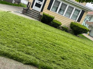 Scott C.'s Lawn Mowing service result