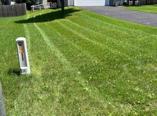 Luis L.'s Lawn Service service result