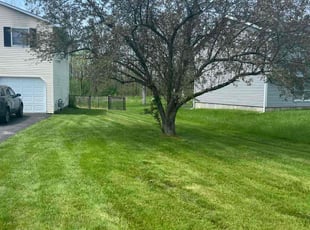 Nikki E.'s Yard Cutting service result