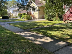 Tyrus R.'s Lawn Care service result