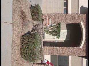 Bush Trimming by Sergio Laurean for Clayton H. in Chandler, AZ