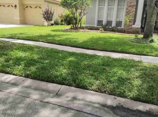 Corey B.'s Lawn Care service result