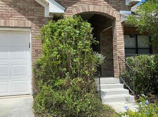 Bush Trimming by Martin Guerrero for Joseph M. in San Antonio, TX